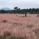 부국개발주식회사 여미지식물원 이미지