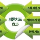 헤베니케