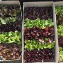 칠보농장 이미지