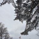 대성삼거리 이미지