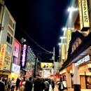 도톤보리 | 일본 여행, 오사카 도톤보리 후기