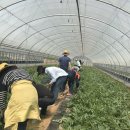 도포면사무소 이미지