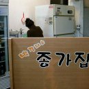 종가집막창 Daum카페