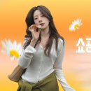 지그재그 이미지