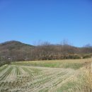 명곡농장 이미지