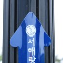 태안해변길 2코스(소원길)에서 만나는 푸른 바다와 송림 이미지