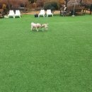 카페히릿 이미지