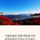 양평 백운봉 자연휴양림 가을 단풍 명소 추천