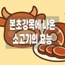 현운 | 내가 궁금해서 찾아본 : 소머리국밥의 효능..<본초강목>..?소고기의 성질! 소머리의 효능!