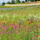한경대학교부속농장 이미지
