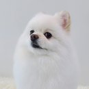 시루봉천 이미지