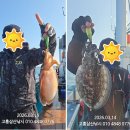 [고흥 선상 낚시] 심해 갑오징어를 만나러 떠난 26시간의 기록 (feat. 삼산낚시배)