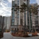 세종 아파트 버스정류장 이미지