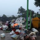 동일1리 이미지