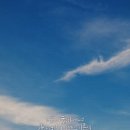 복음담다