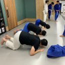 미르 주짓수 유도관 이미지