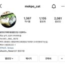 알았당개 이미지