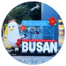 메그네이트비 이미지