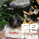 카페주아 | 동탄 실내카페 디아쿠아 18개월 아기랑 가기 좋은 아쿠아리움 수족관카페 후기(아기의자o,기저귀갈이대o)
