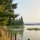 신정노을