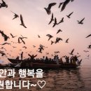 베레쉬트 티스토리