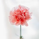 은혜문구 이미지