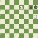 체크메이트 룩 이미지