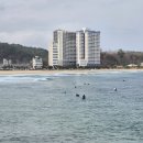 (주)가나수산 | 26.03.05~26.03.06 - 강원도 양양/속초 여행 (세 번 먹고 한번 걷고)