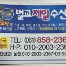 벌교제일수산 이미지