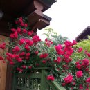 아름드리펜션 이미지