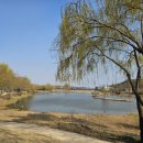 순천만국가정원 서문주차장 화장실 이미지