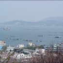 호수와 바다 이미지