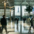 메디팜신세계약국 이미지