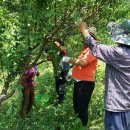 유룡리농장 이미지