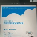 동양당구장 | 내돈내산-보험가입후기-동양생명 ‘치매간병은동양생명보험’