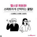 페이퍼 피티 이미지