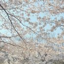 서몽 이미지