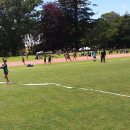 우리집 똥강아쥐 이미지