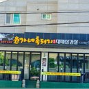 함덕해수욕장흑돼지맛집 제주 고기 최고 윤가네흑돼지대패삼겹살