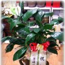 정원골프 아카데미 이미지