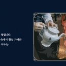 살구가배