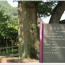 김삿갓면-43 네이버블로그