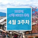 짝지 | [공지] 25년 4월 3주차 대구, 부산출발 추천 국내 해외 패키지 여행 - 여행짝지