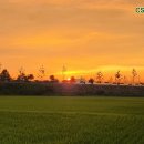 하나태양광발전소 이미지