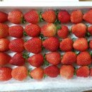 국민농장 이미지