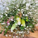 꽃이야기와 치유 이미지