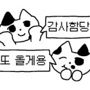 태백가설재