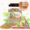 버디