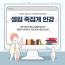 직장인을 위한 셀핍 인강 (feat.전략적) 이미지