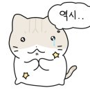태안칸 이미지